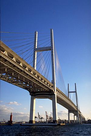 豊田車検の有効期間の確認方法はあるのか