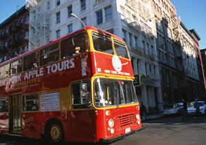 人気が集中する注目の専門店ウィード