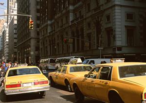 合宿免許のメリットと期間短縮の秘訣