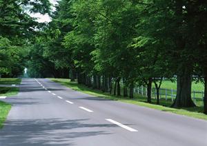 幸田町で自動車を直せる板金塗装工場