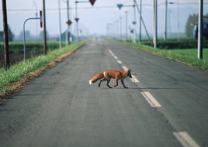 【2026年最新】車検費用を賢く節約する方法と徹底ガイド