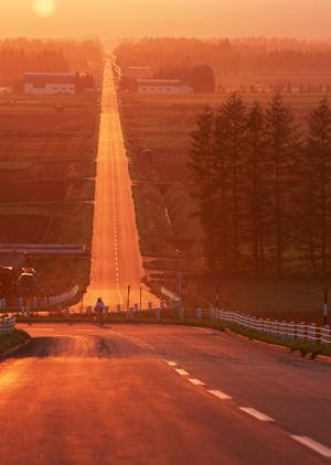 自動車車検はコバックで決まりかな