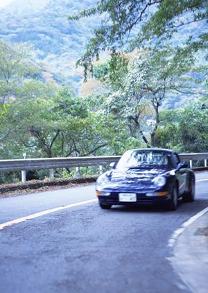 車種を絞ったサービスを展開している