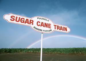 車検代をお得にするなら専門店もお勧め