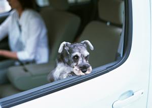車検代の安さだけで選ぶならここしか無い