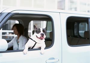 自動車の状態に合わせて車検代を決めよう
